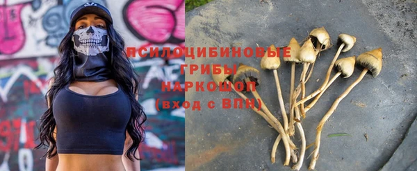 ALPHA PVP Нефтекумск