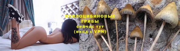 соль ск Болхов