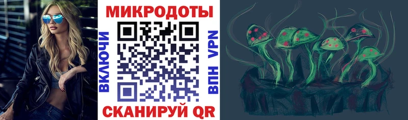 закладки  Донской  Псилоцибиновые грибы Psilocybe 