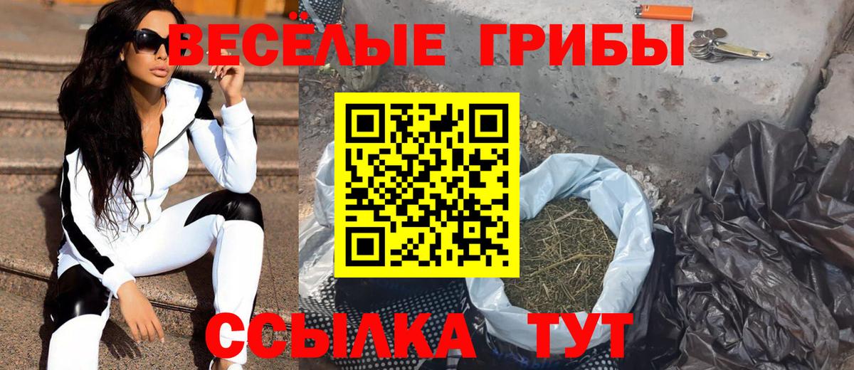 Псилоцибиновые грибы Magic Shrooms Донской