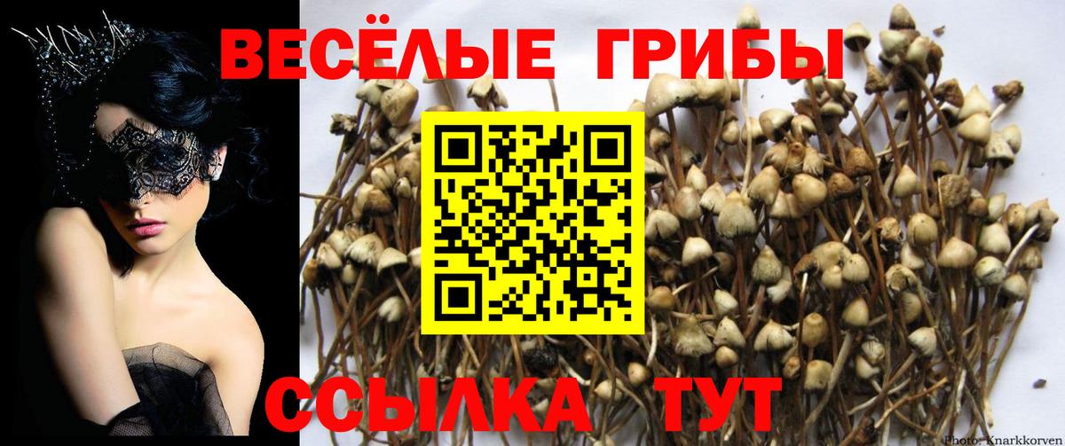 ГАШ Донской