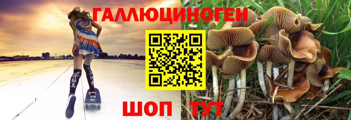 Псилоцибиновые грибы GOLDEN TEACHER Донской
